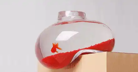 你的强迫症指数