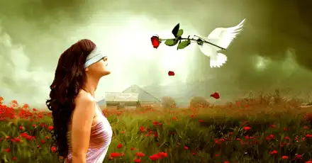 我最值得被爱的5个理由评测